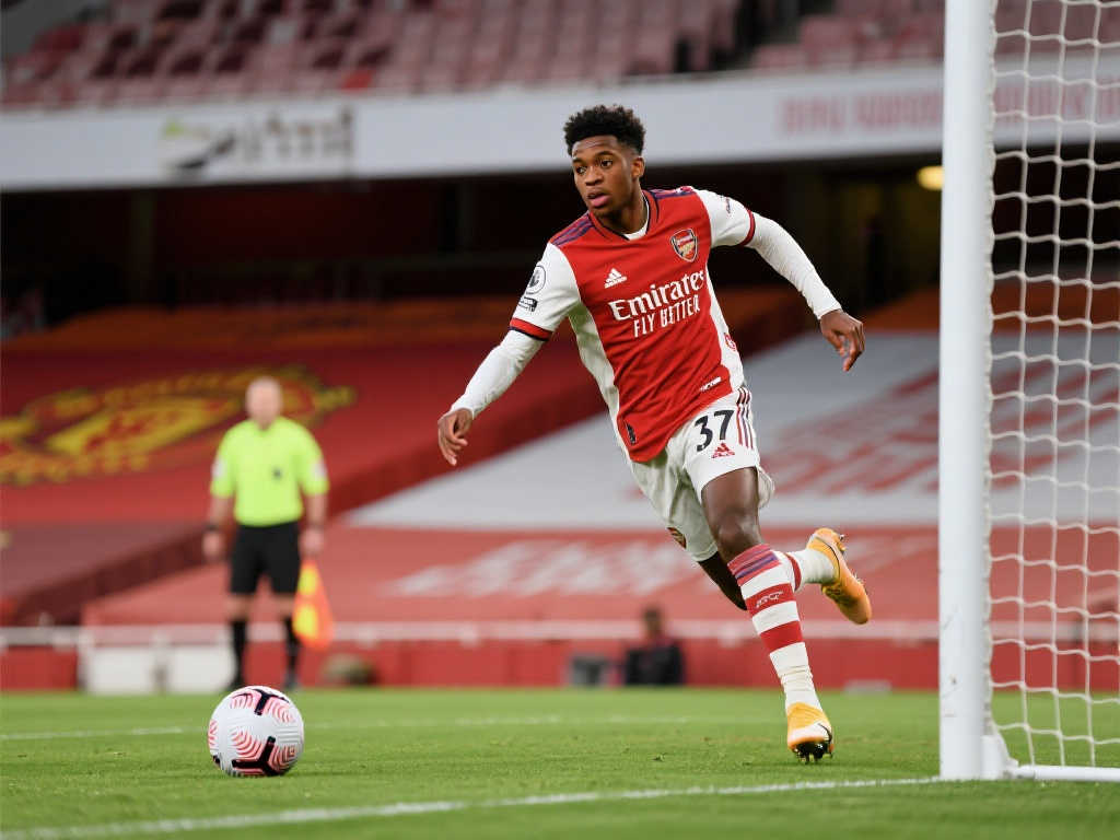 带来了新的 带来了新的